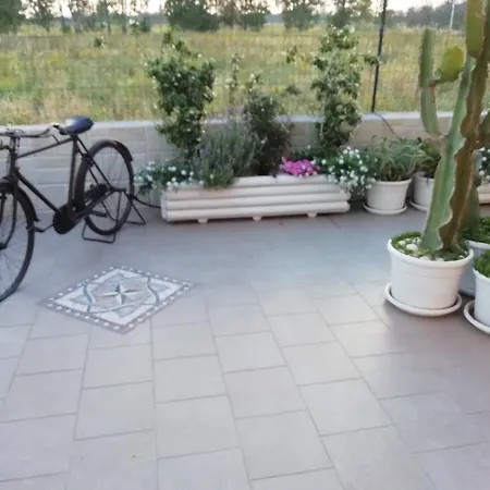Charming House In